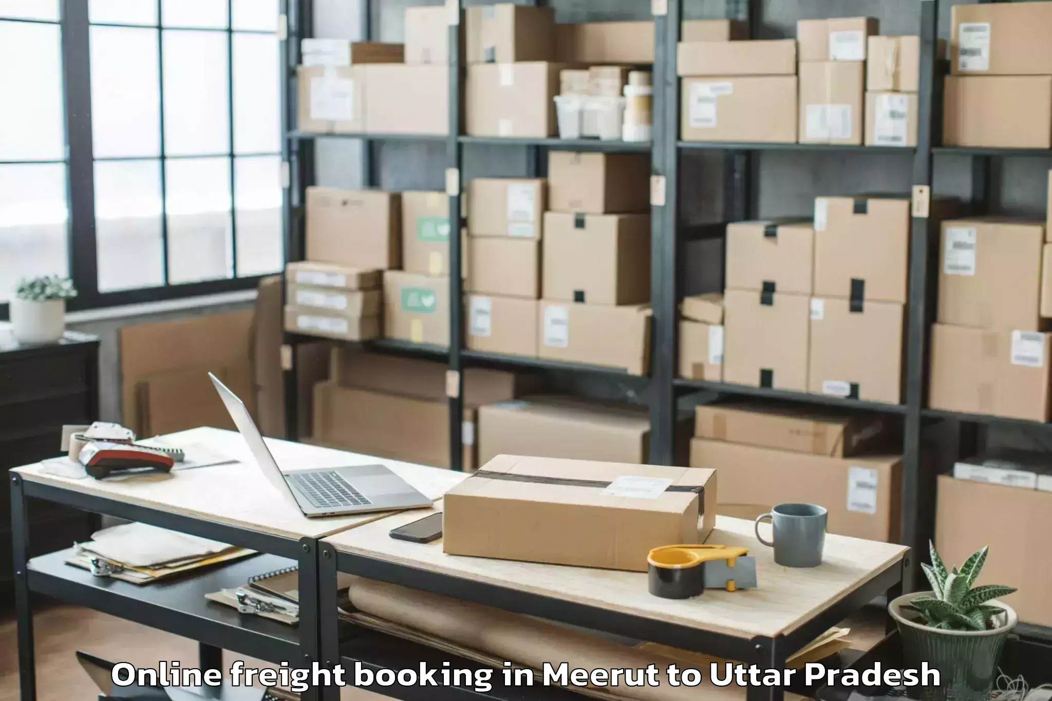 Hassle-Free Meerut to Bidhuna Online Freight Booking